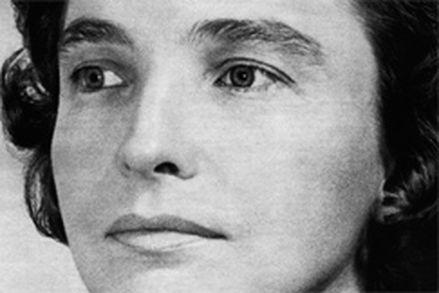 id11477-previewimage-11475-50